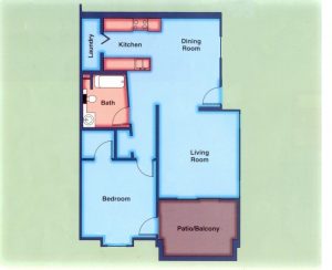 1 Bedroom 1 Bathroom Floor Plan