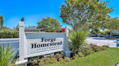 Forge Homestead Apartments