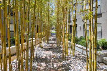 Metro at Showplace Square Outdoor Garden