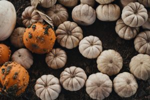 Mini pumpkins perfect for halloween apartment decor.