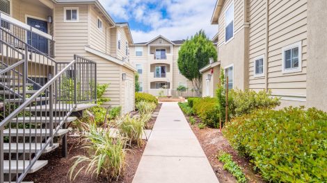 Forge Homestead Apartments featuring landscaped walkways, a calming water feature, and modern buildings designed for Silicon Valley tech professionals.