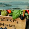 View of San Francisco Bay area with fresh produce and wooden farmers market crate featuring fresh berries, peppers, and leafy greens all located near various De Anza Properties apartment communities.